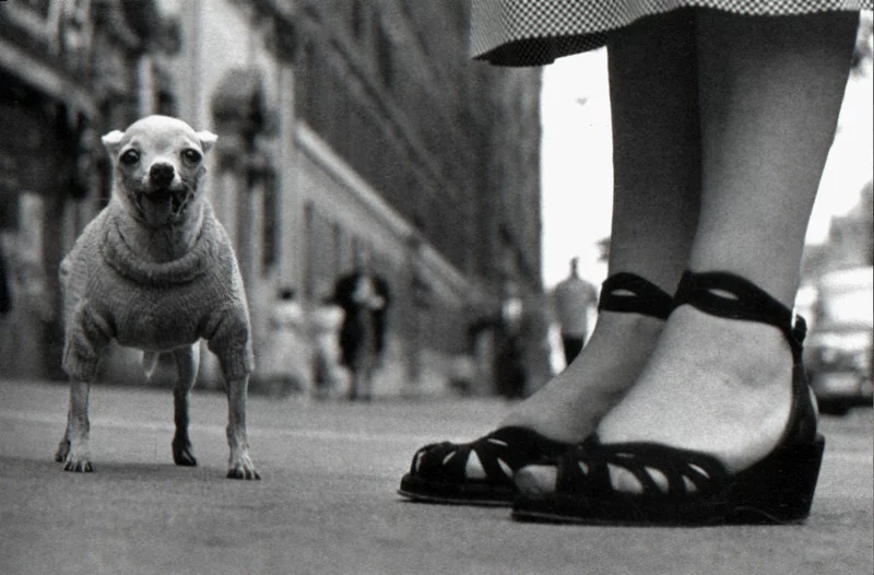 Untitled 2 by Elliott Erwitt